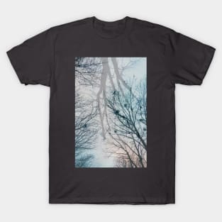 Mistery Trees, Synthesis T-Shirt